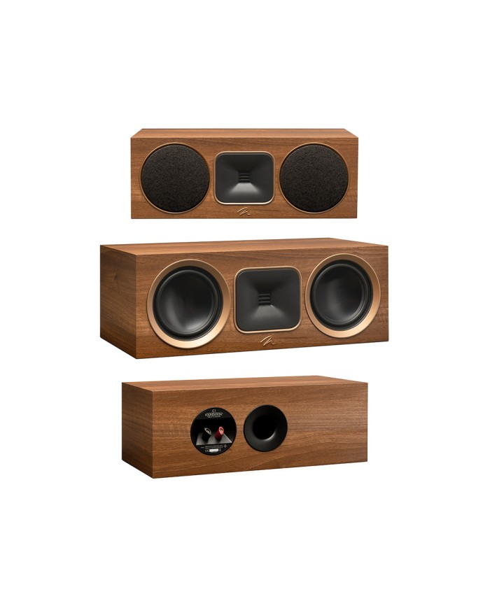 MartinLogan Foundation C1 | HiFi Solution