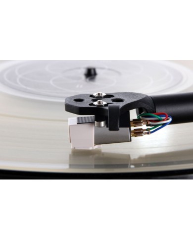 Rega Carbon Testina MM | HiFi Solution