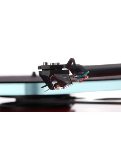 Rega Ania Testina MC | HiFi Solution