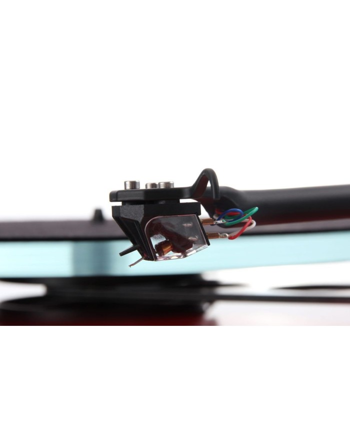 Rega Ania Testina MC | HiFi Solution