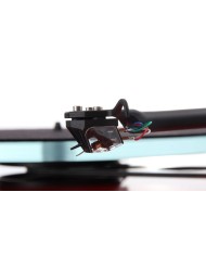 Rega Ania Testina MC | HiFi Solution