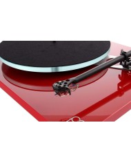 Rega Ania Testina MC | HiFi Solution