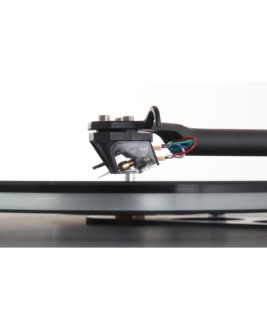 Rega Ania Testina MC | HiFi Solution