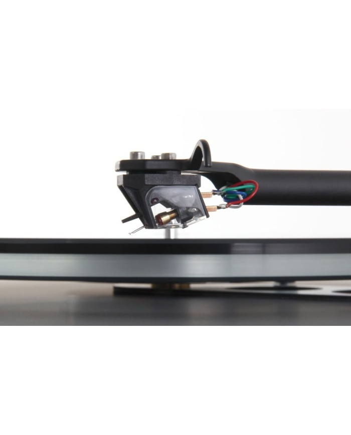 Rega Ania Testina MC | HiFi Solution
