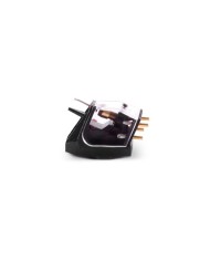 Rega Ania Testina MC | HiFi Solution