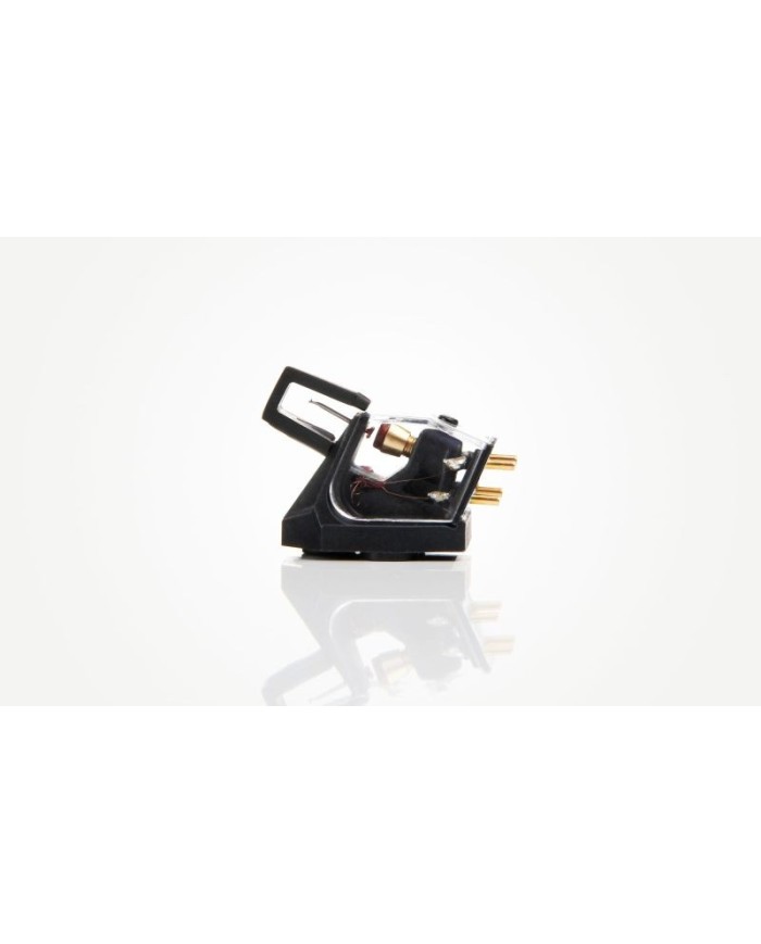 Rega Ania Testina MC | HiFi Solution