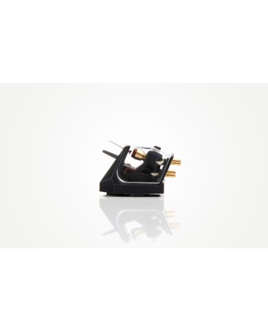 Rega Ania Testina MC | HiFi Solution