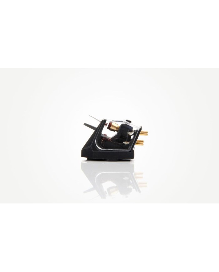 Rega Ania Testina MC | HiFi Solution