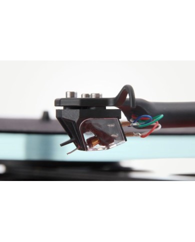 Rega Ania Testina MC | HiFi Solution
