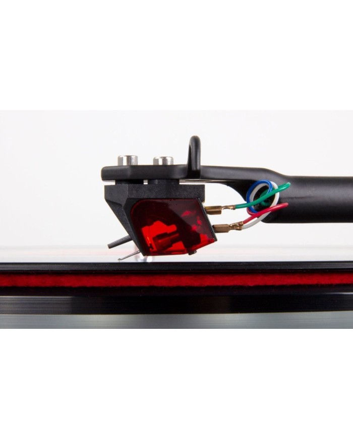 Rega Ania PRO Testina MC | HiFi Solution