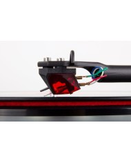 Rega Ania PRO Testina MC | HiFi Solution