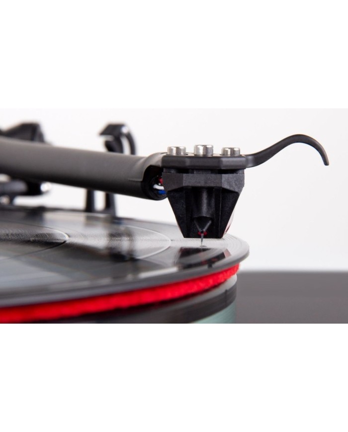 Rega Ania PRO Testina MC | HiFi Solution