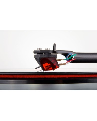 Rega Ania PRO Testina MC | HiFi Solution