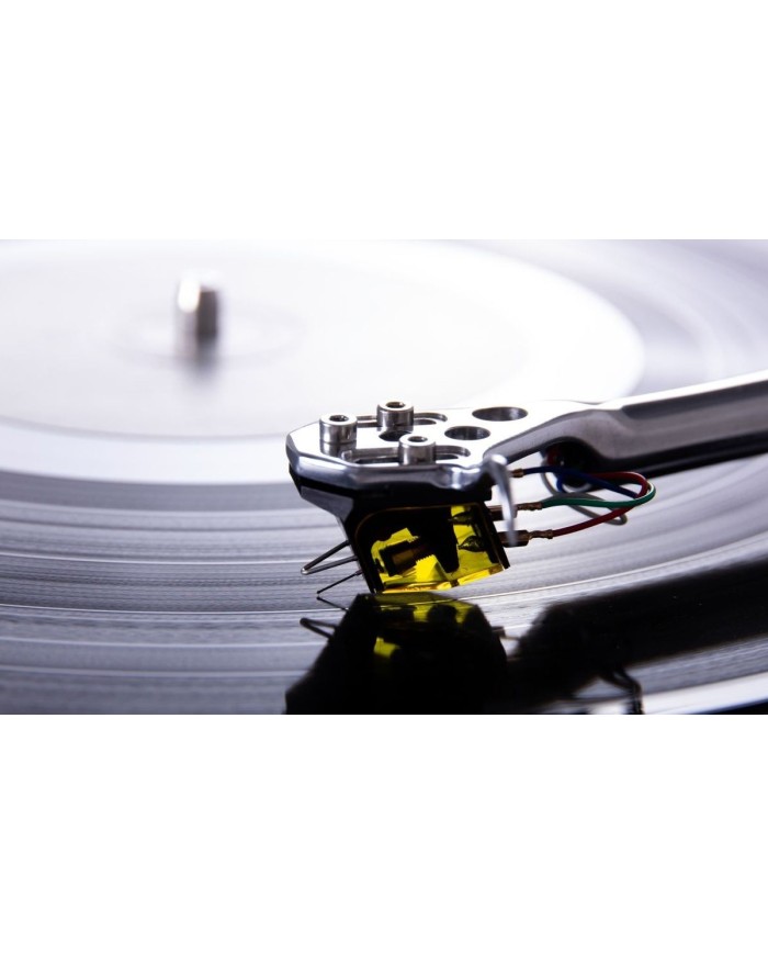 Rega Aphelion 2 Testina MC | HiFi Solution