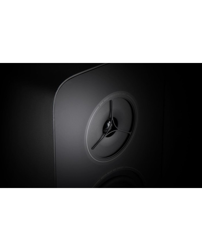 Rega Kyte Diffusore | HiFi Solution