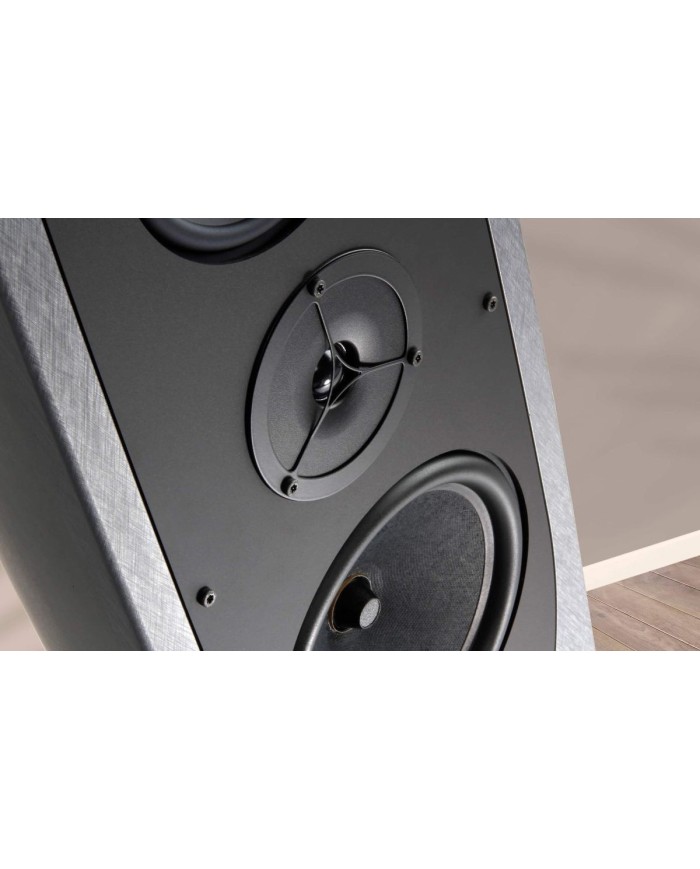 Rega AYA Diffusore | HiFi Solution