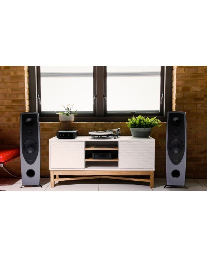 Rega AYA Diffusore | HiFi Solution