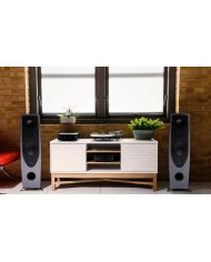 Rega AYA Diffusore | HiFi Solution