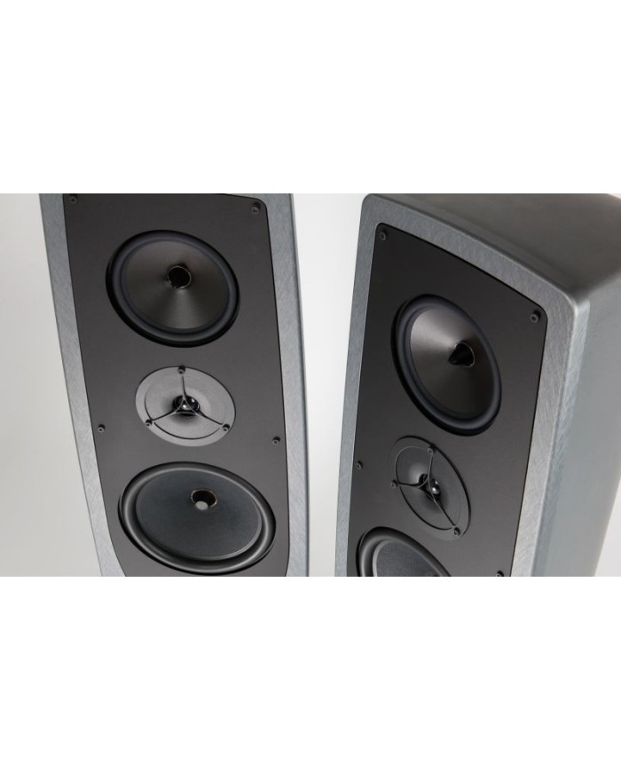 Rega AYA Diffusore | HiFi Solution