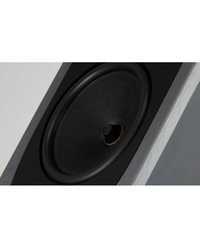 Rega AYA Diffusore | HiFi Solution