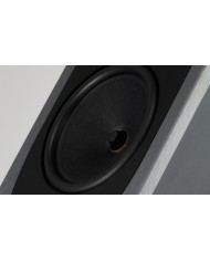 Rega AYA Diffusore | HiFi Solution