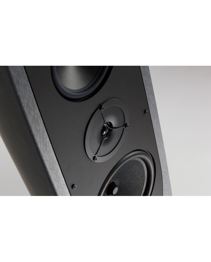 Rega AYA Diffusore | HiFi Solution